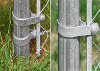 Dây hàng rào liên kết chuỗi 38mm bằng thép mạ kẽm 2 &quot;