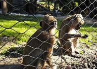 Bao vây động vật Dây thừng dệt lưới Vườn thú Aviary Mạng lưới thép không gỉ Chim Ferrule Cáp lưới