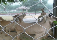 Bảo vệ Động vật Thép không gỉ Aviary Lưới / Zoo Zoo Lưới Hàng rào Chống rỉ