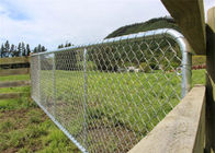 Cổng hàng rào lưới liên kết bền cho bao vây trang trại động vật Deer