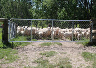 Cổng hàng rào dài 75X75MM mạ kẽm nóng cho sân cừu
