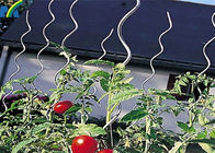 Phụ kiện hàng rào liên kết chuỗi 6.5MM * 1.8M Dây hỗ trợ cà chua
