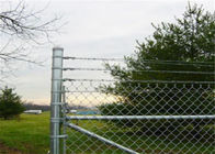 4 Ft X 50 Ft Chuỗi liên kết lưới Hàng rào thép Sân sau Nhà hàng rào Biên giới Vải xanh Trang trại